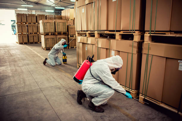 Best Wildlife Control Services  in Boise City, OK