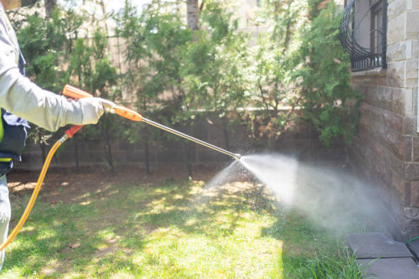 Best Exterminator Services  in Boise City, OK