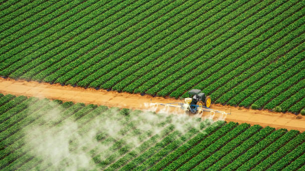 Best Commercial Pest Control Services  in Boise City, OK
