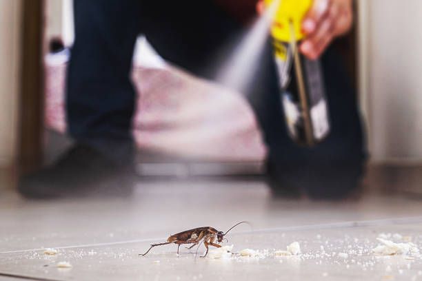 Best Best Pest Control Companies  in Boise City, OK