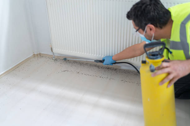 Best Pest Prevention Services  in Boise City, OK
